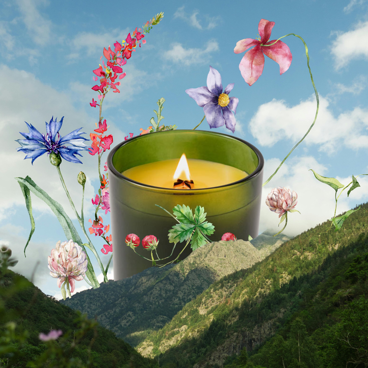 IVEAGH Summer Collection